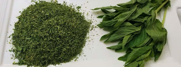 تصویر 2 از قیمت خرید نعنا خشک عمده + فروش ویژه